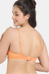 Zivame Padded Non Wired 3/4Th Coverage Lace Bra - Mock Orange — thumbnail 2